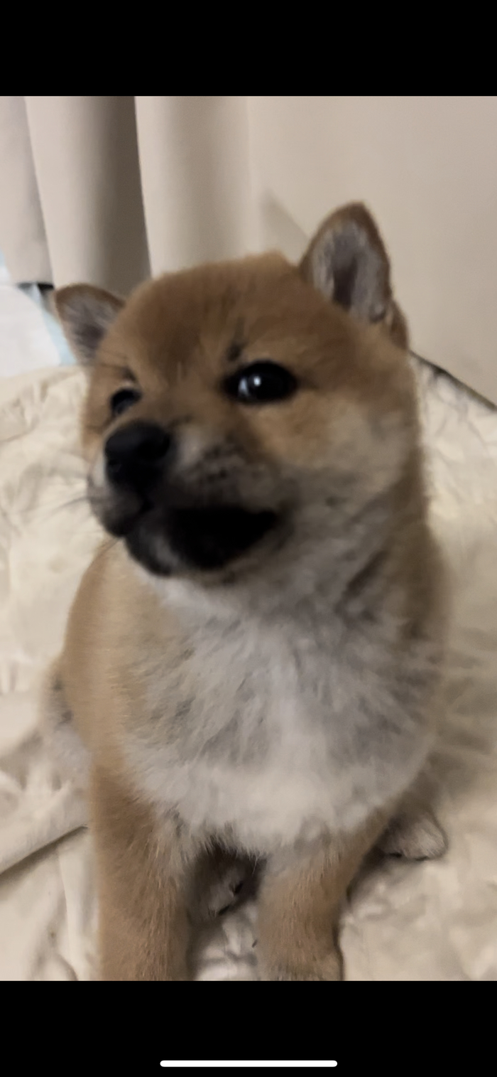   , , , -, , 