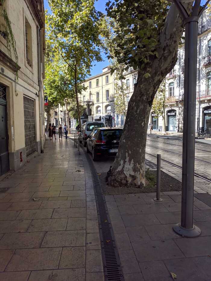  (Montpellier), .   , , , 