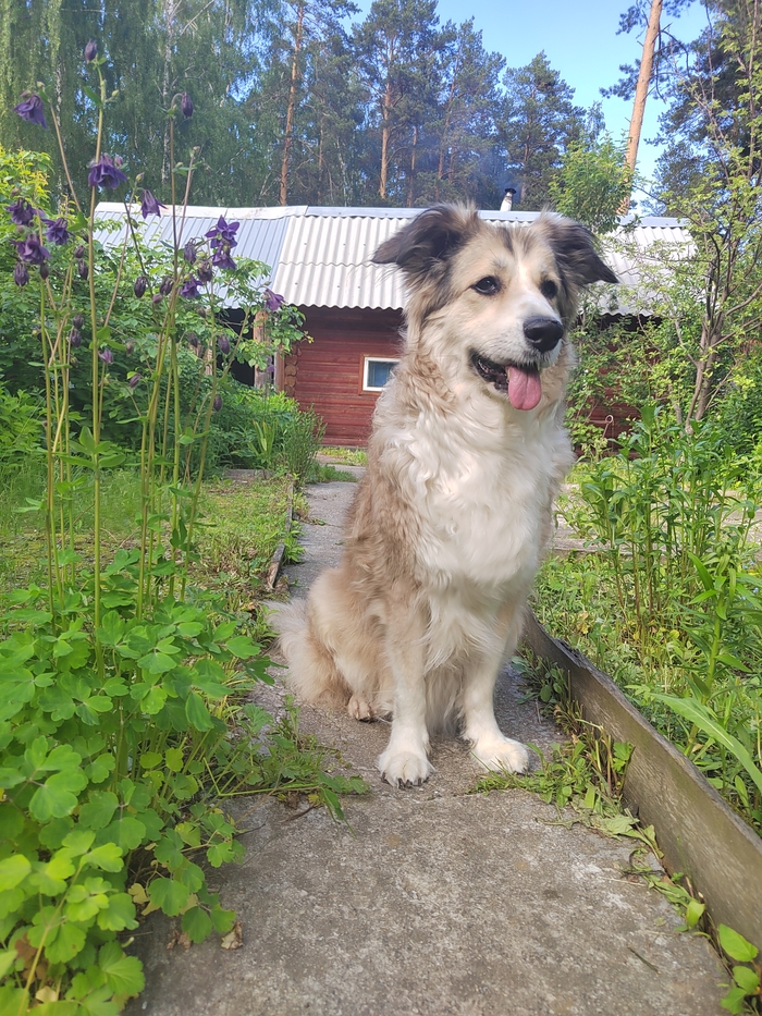 Крик о помощи!