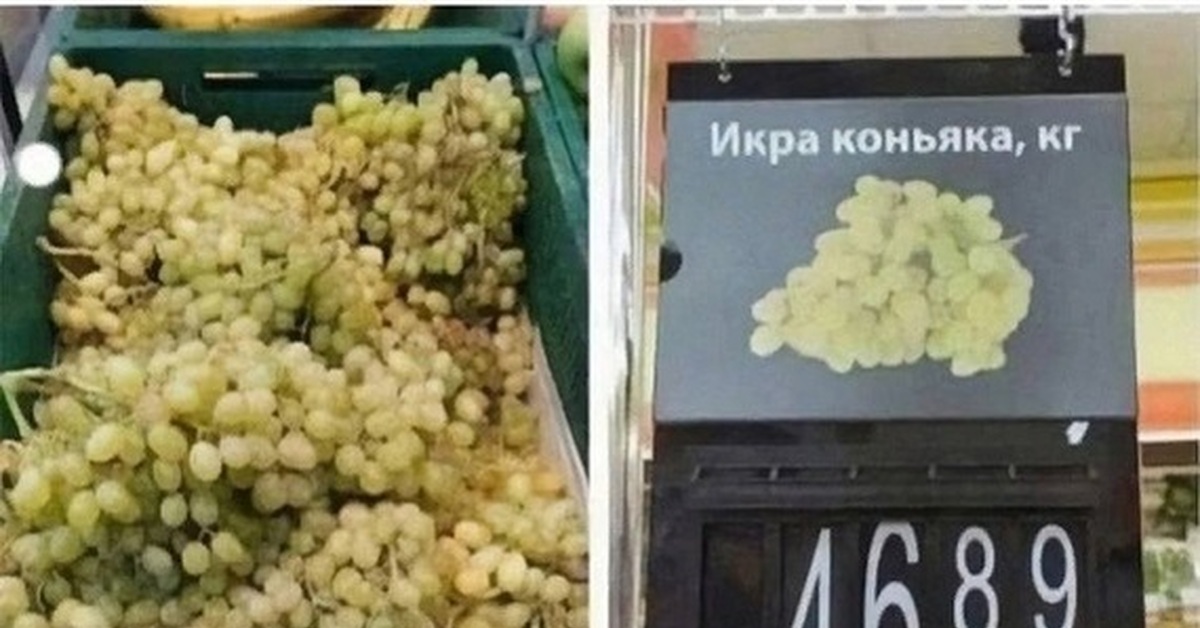 Подлинная сущность винограда | Пикабу