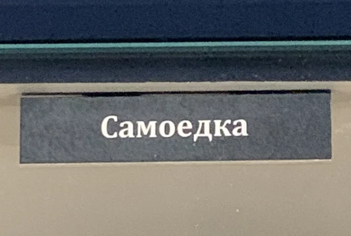 Прошу не накручивать себя, и в то же время я:
 - Моё, Мемы, Тревожность, Фотография