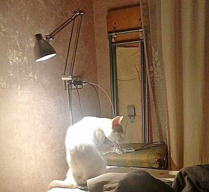    !  , , , , 