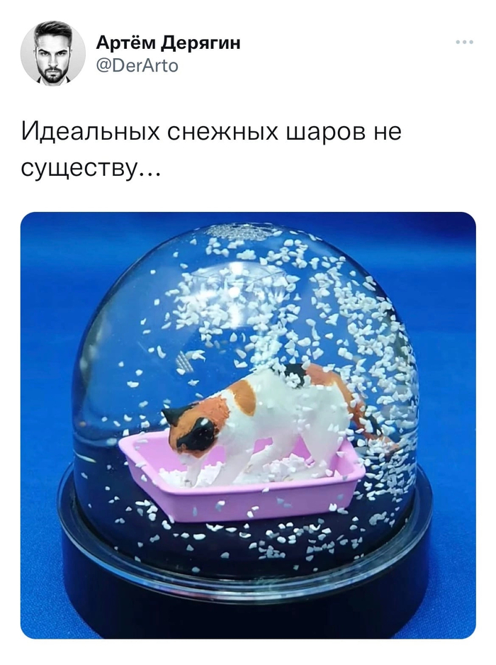  , , ,  , X (Twitter)