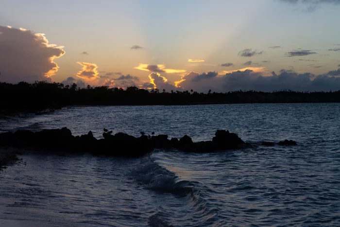 Seagulls hang out - My, Cuba, The photo, Canon, Ocean, Shore, Birds, Sunset