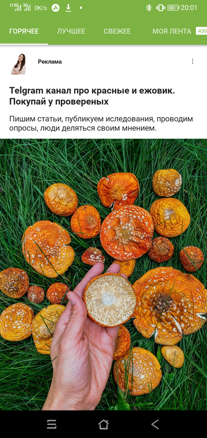  ? , ,   , , 