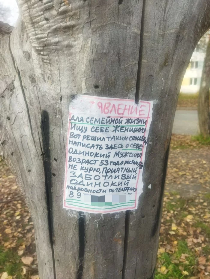 Response to the post Krasnoyarsk is looking for a friend of youth with the help of ads at bus stops - news, People search, Search, Indifference, friendship, Reply to post, Longpost