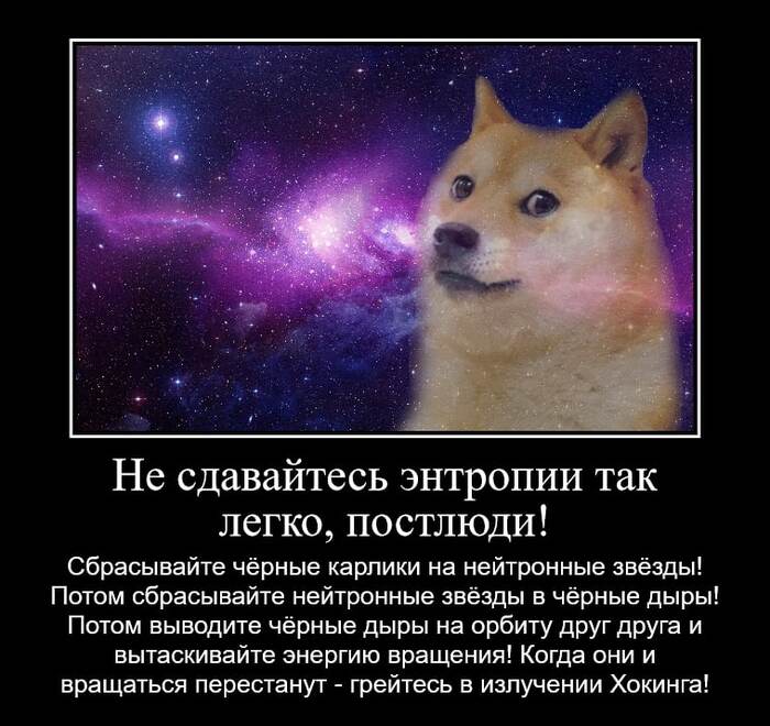Don't give in to entropy - My, Entropy, Shiba Inu, Space, Future, Picture with text, Doge, Dog, Demotivator
