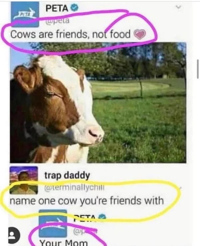 Cows are friends, not food - Peta, Cow, Food, Friends, Sarcasm, Screenshot