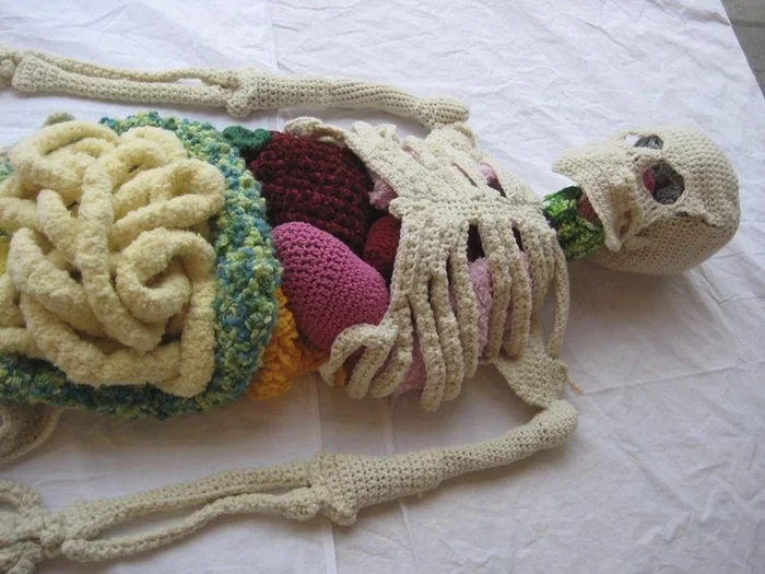 Pathologists also know how to knit - The photo, Skeleton, Entrails, Anatomy, Knitting, Humor