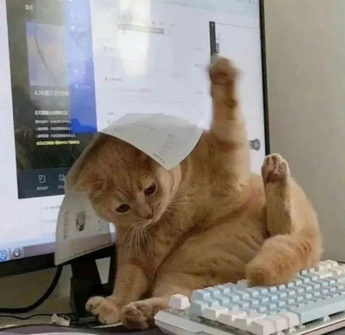   ,  !