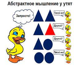 Айсберг больших чисел. Часть 2. Подводное течение - Моё, Научпоп, Математика, Длиннопост