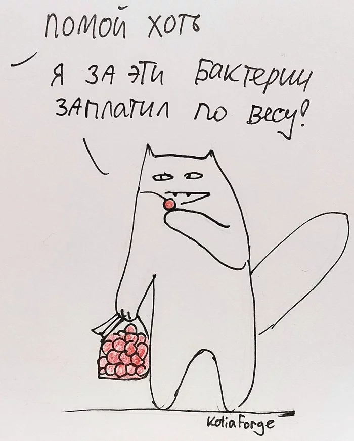 calories - My, cat, Drawing, Caricature, Pen drawing, Фрукты, Hygiene