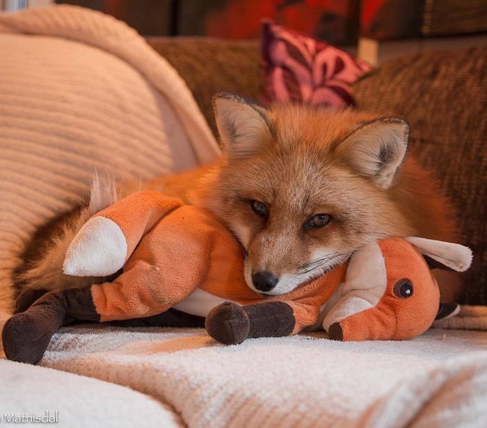 ���� � ��������