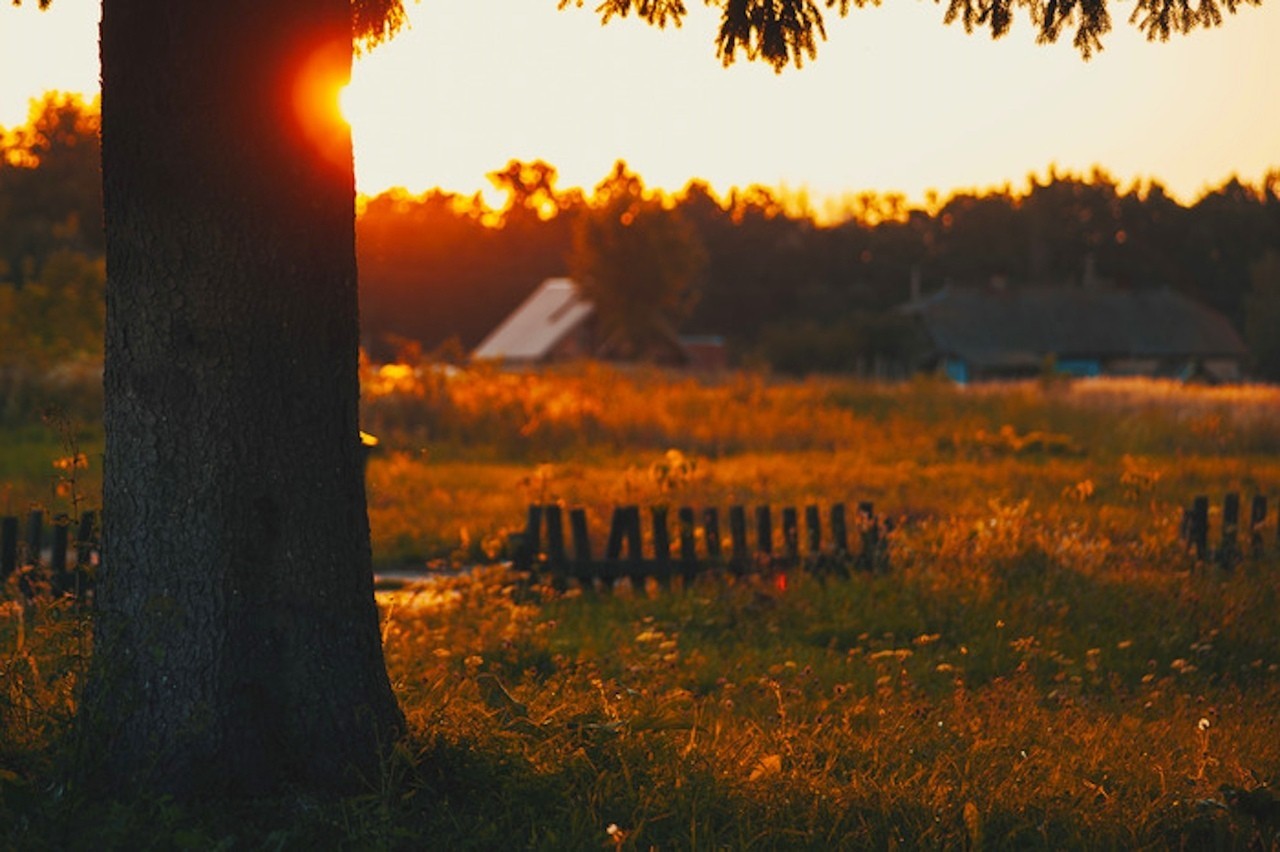 Childhood - Childhood, Village, Nostalgia, Grandmother, Summer, Grandfather, Longpost