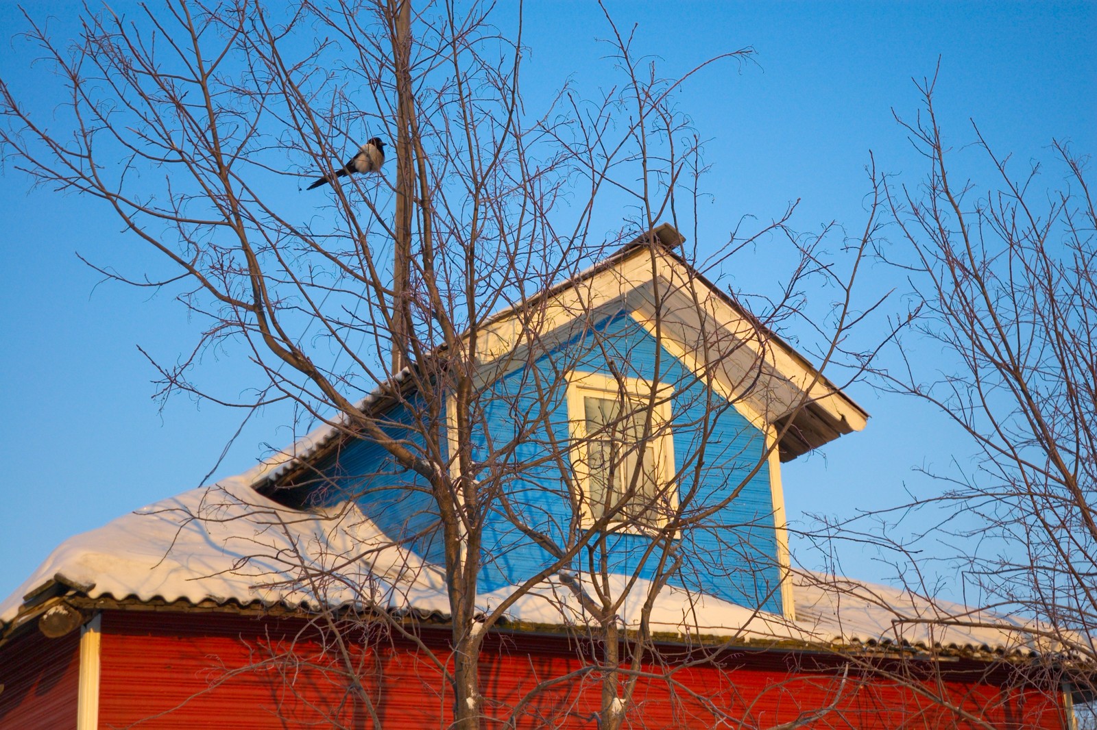 Winter in the Russian North - North, Arkhangelsk region, Nikon, Longpost