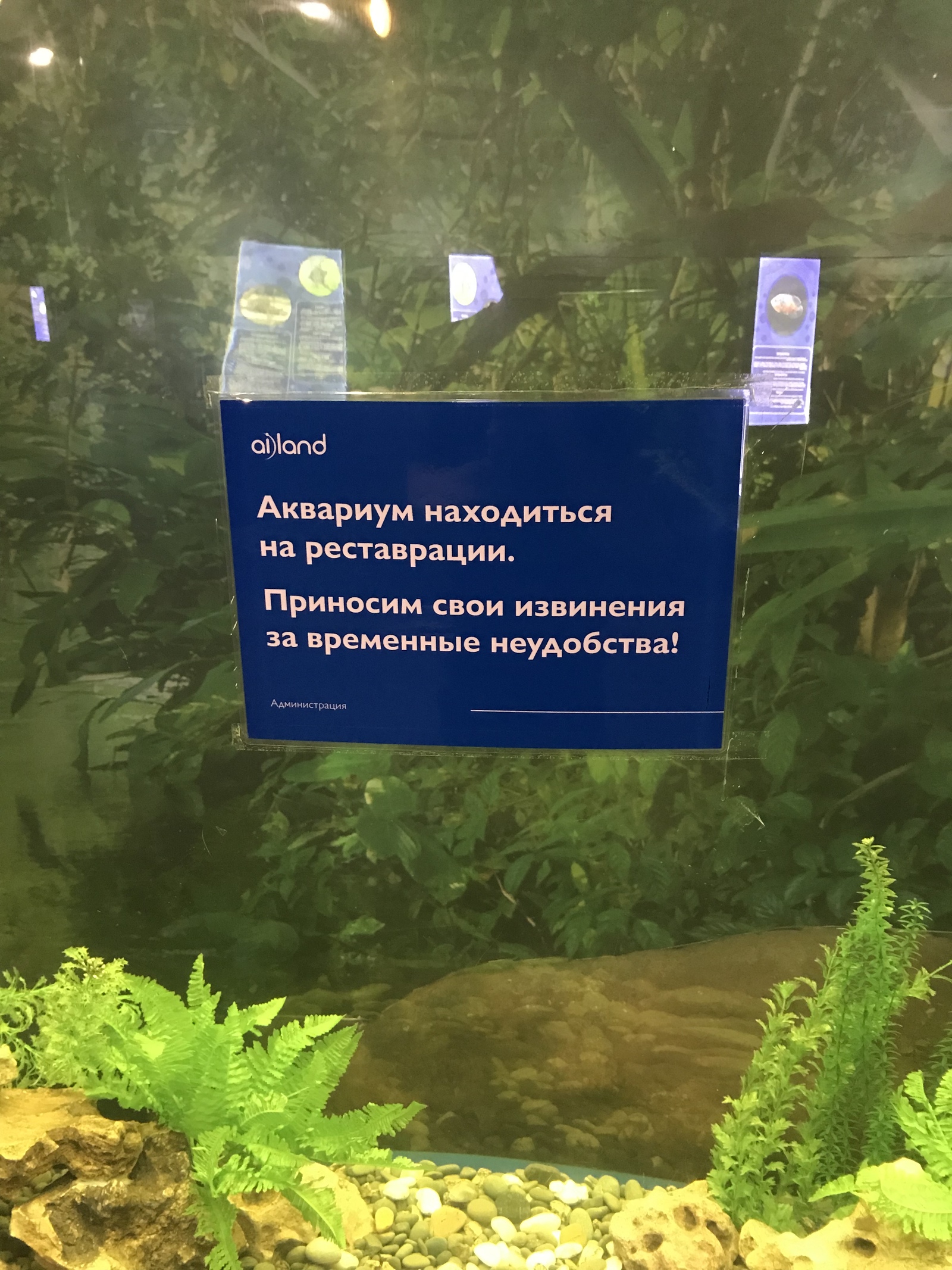 Океанариум в Астане порадовал такой табличкой - Граммар-Наци, Опечатка, Океанариум, Астана