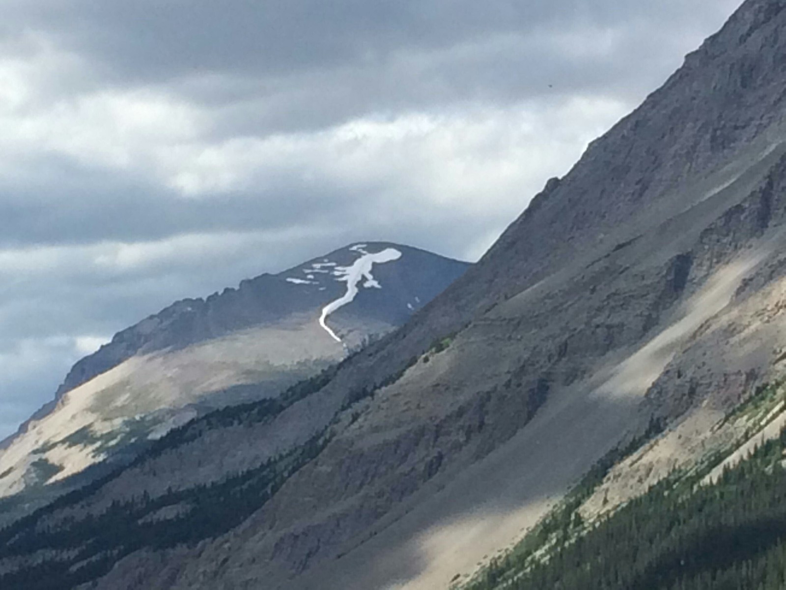 The snow on top of the mountain looks like a lizard - The mountains, Snow, The photo, Lizard, Reddit, Pareidolia