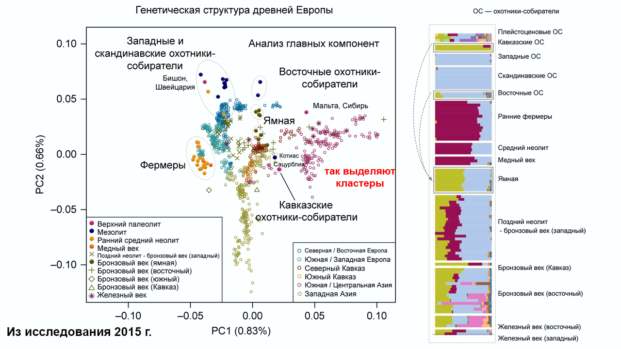 Генетическая история Кавказа (медный и бронзовый века) - Моё, Наука, Палеогенетика, История Кавказа, Кавказ, Видео, Инфографика, Бронзовый век, Длиннопост, Археология, ДНК