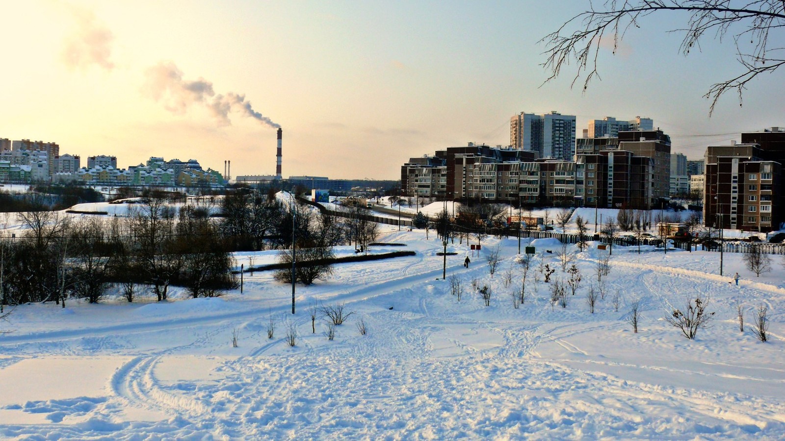 beauty - My, Nature, The park, Moscow, Mitino, beauty, Sunset, Winter, Longpost