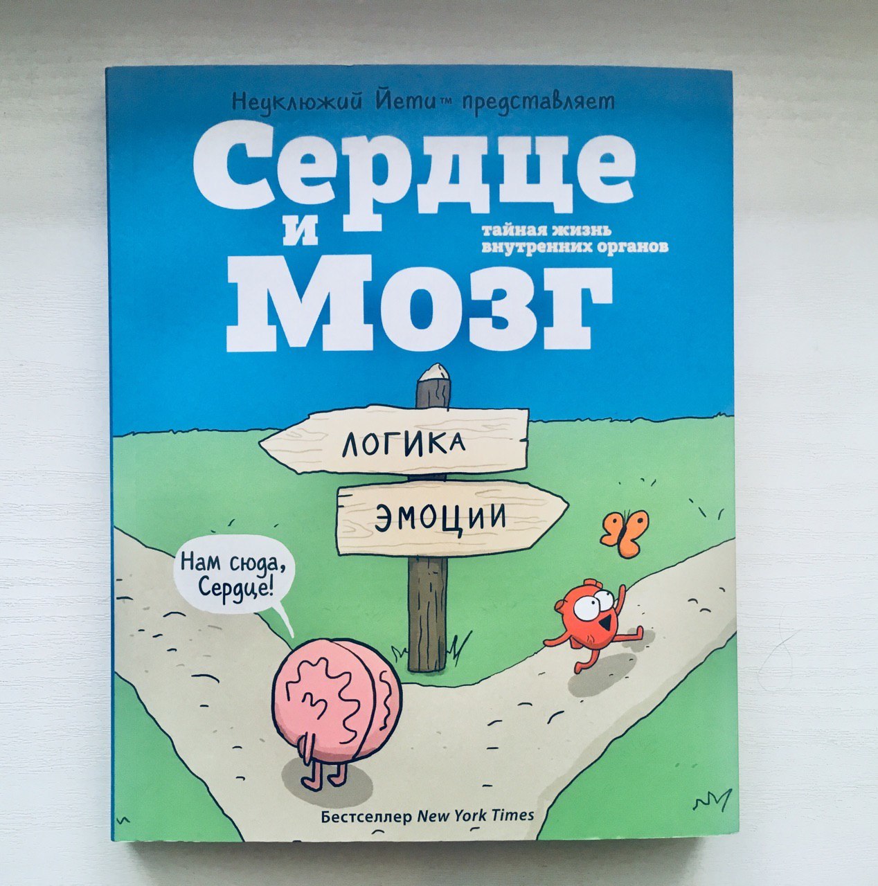 Mini-comics about our reality and inner world: Sara's Scribbles, Nastenka's comics, Masha Pancake, Heart and Brain - My, Books, Comics, Sarah Andersen, Nastya's comics, Reason and feelings, , , Longpost