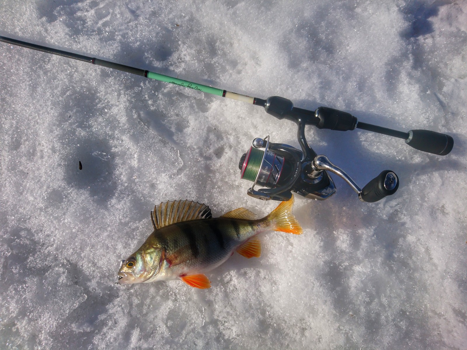 Lower Moscow - Moscow, Fishing, Winter, Longpost