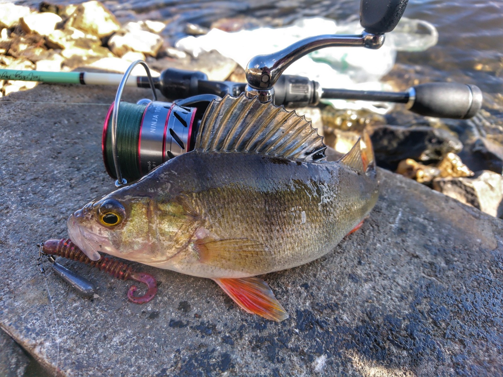 Lower Moscow - Moscow, Fishing, Winter, Longpost