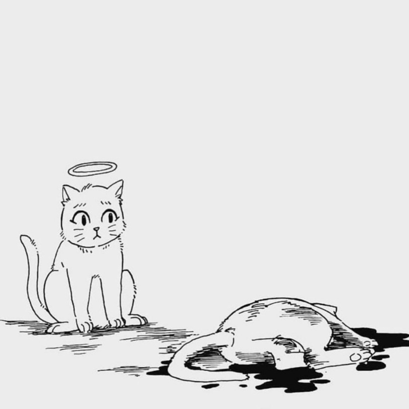 One paid attention, the other did not. - Comics, Sadness, cat, Longpost