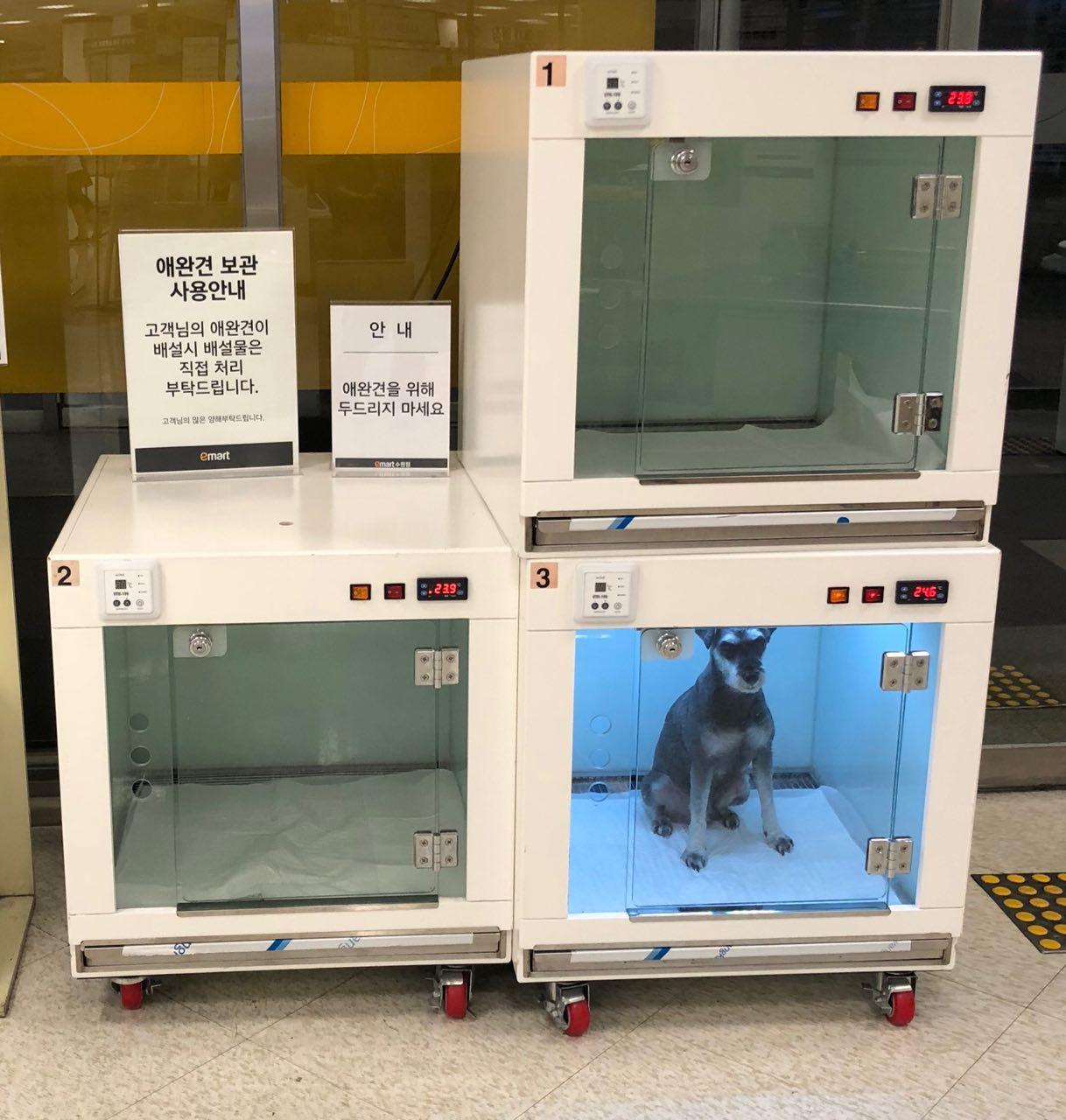 Luggage storage for animals in a supermarket - My, Supermarket, South Korea, Dog, Luggage storage