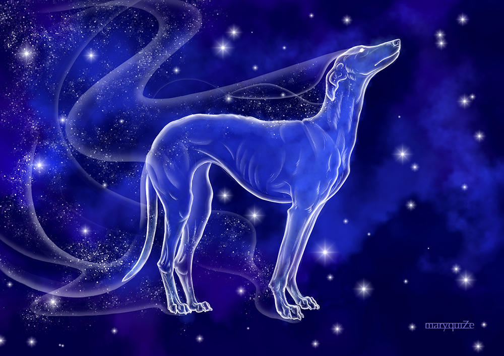 Expecto patronum! part 3. Dogs - My, Harry Potter, Fan art, Digital drawing, Magic, Portrait, Dog, Longpost