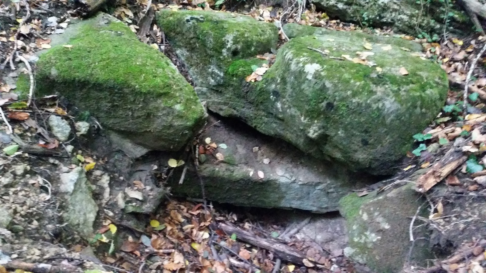 What could it be? - My, No rating, A rock, Crimea, Dolmens, Forest, Ruins, Longpost