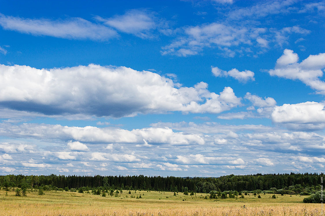 Journey to the Basurman region. - My, Bike trip, Perm Territory, Travels, The photo, , , Longpost