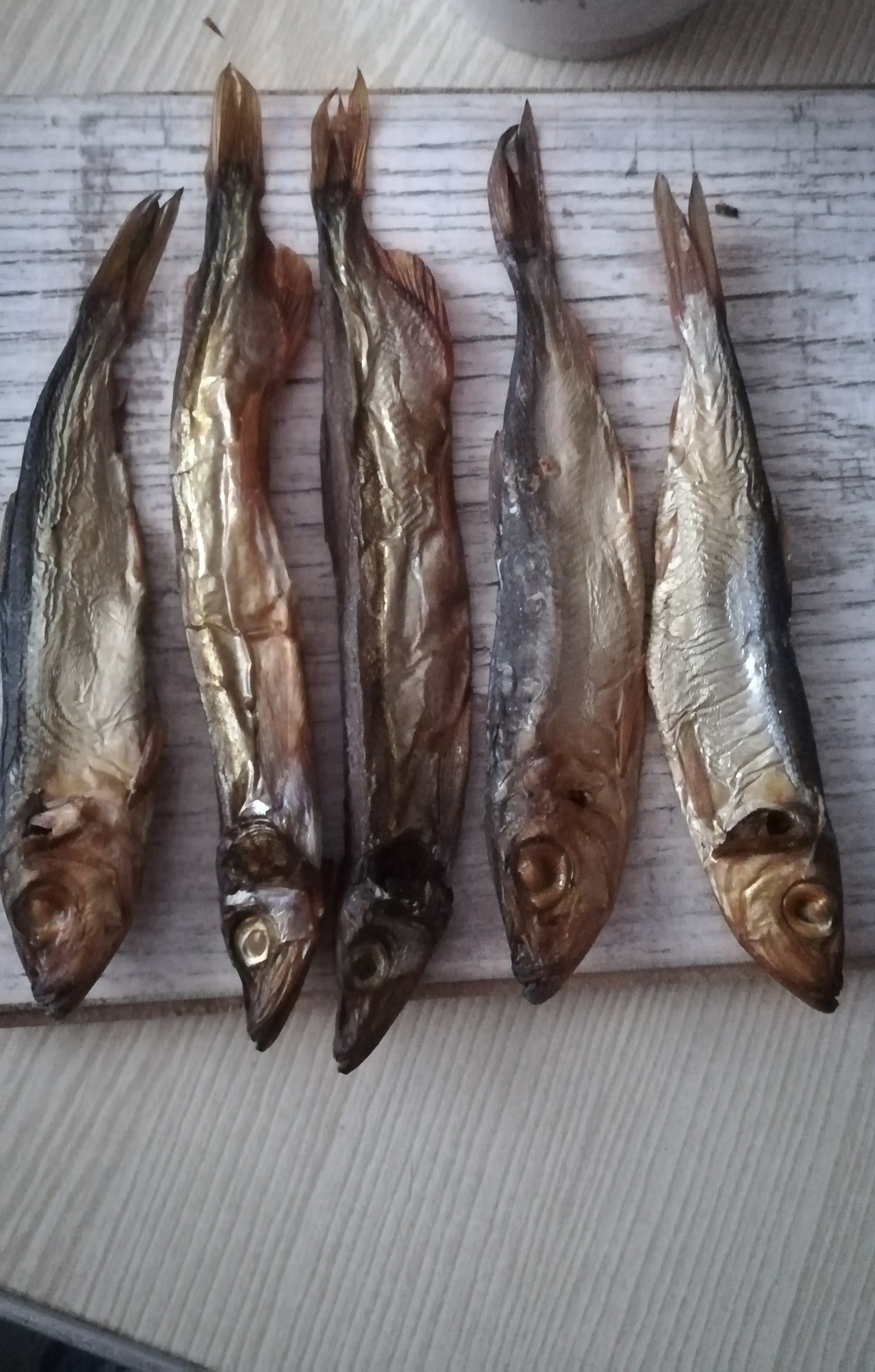 What kind of fish? - My, A fish, Breed, Baltic herring