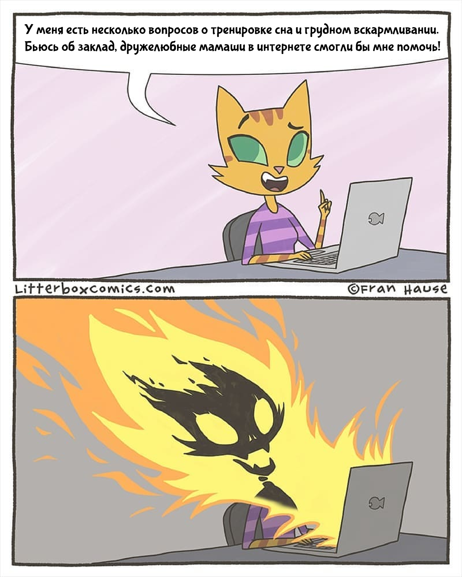 The internet is so... - Comics, Internet, Translated by myself, Litterbox Comics