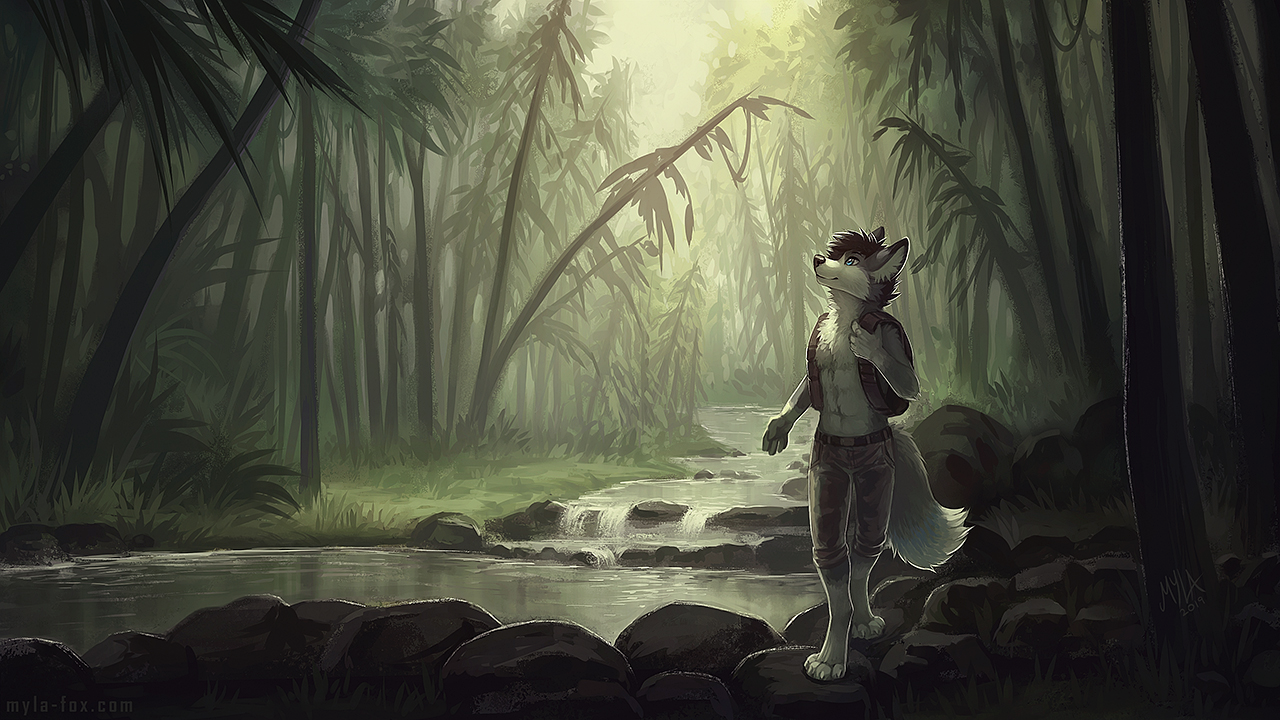 Shimmering Wilderness - Фурри, Антро, Furry Art, Furry Canine, Furry wolf, Тропики, Mylafox