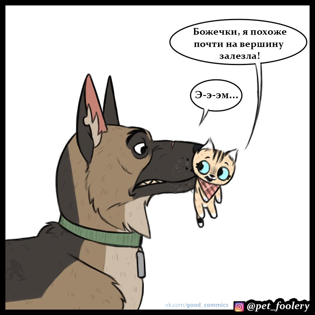 Height Conqueror - Pet foolery, Brutus and Pixie, Comics, Translated by myself, Longpost, cat, Dog