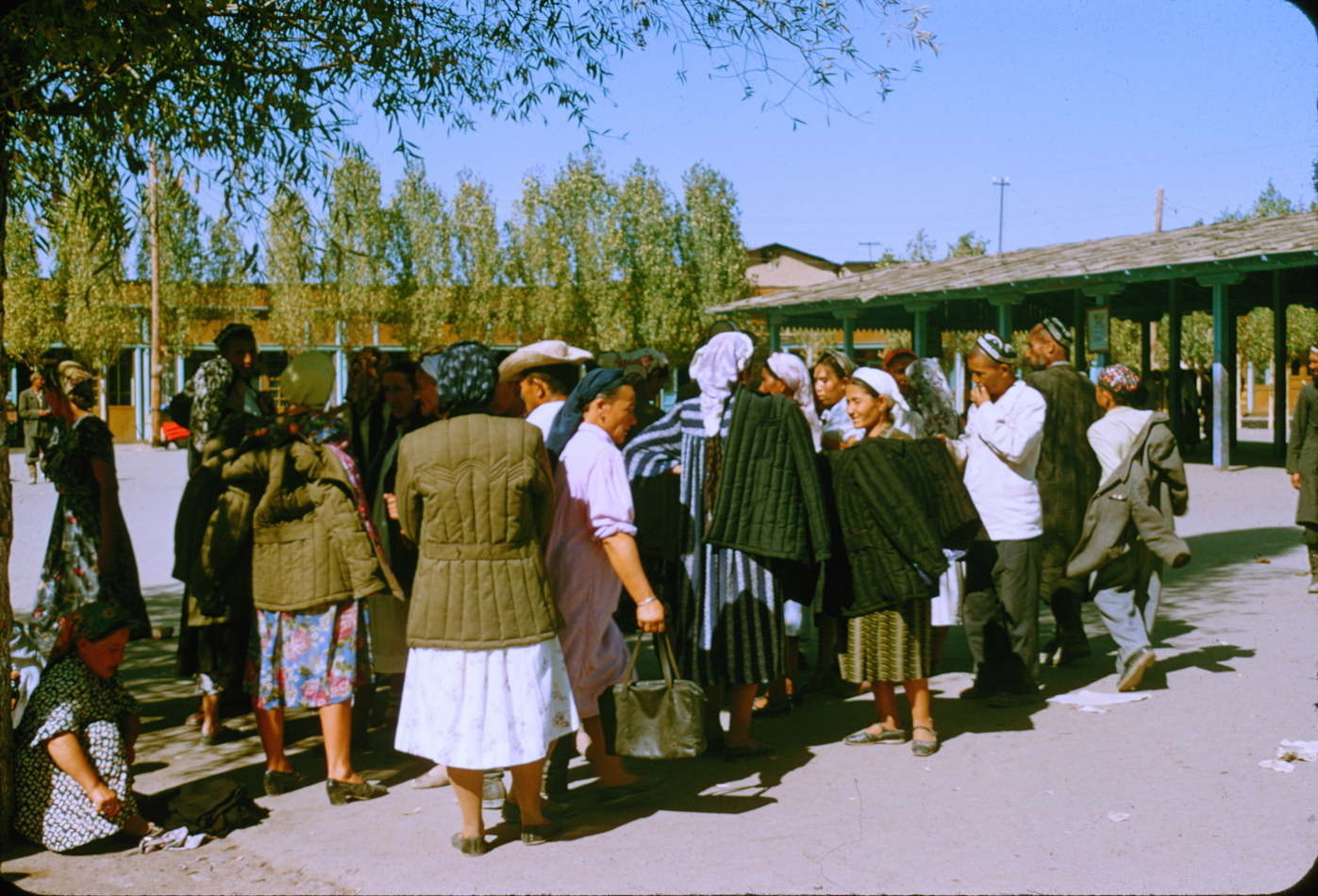 CCCР  глазами Жака Дюпакье 1956 год. Ташкент. Продолжение... - СССР, Узбекская ССР, Ташкент, Фотография, Длиннопост