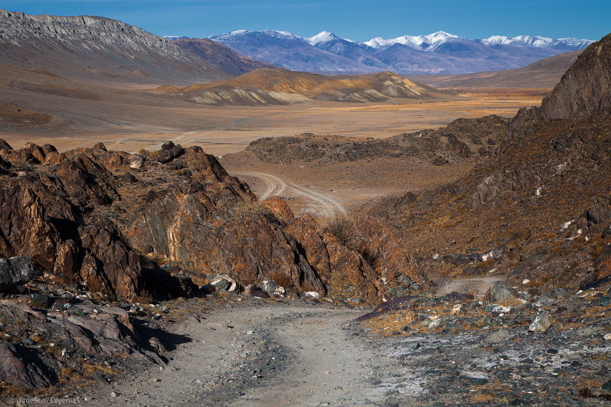 Another Planet or Altai is not for everyone. - My, Altai, Mountain Altai, Road trip, Longpost, Longtext, Russia, Travels, Altai Republic