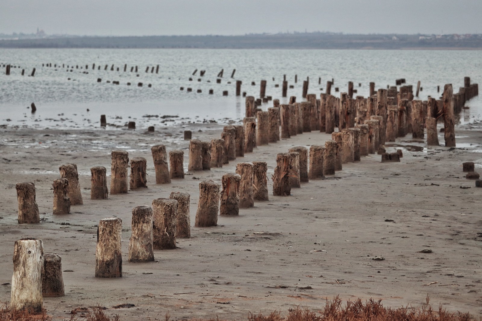 Odessa Kuyalnik - My, Nature, Kuyalnik, Odessa, The photo, Abandoned, Longpost