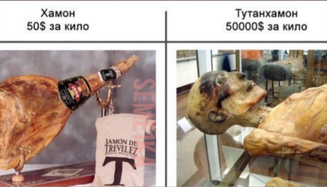 Where to buy 200 grams of tutankhamun for butriks? - Joke, Joke, Picture with text, Images, Humor