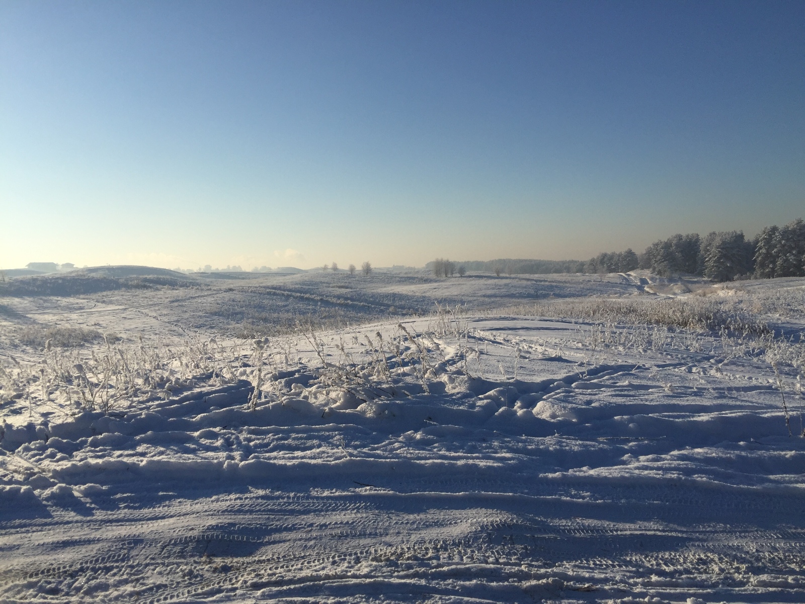 This amazing winter! - The photo, Winter, Longpost, Nature, The park