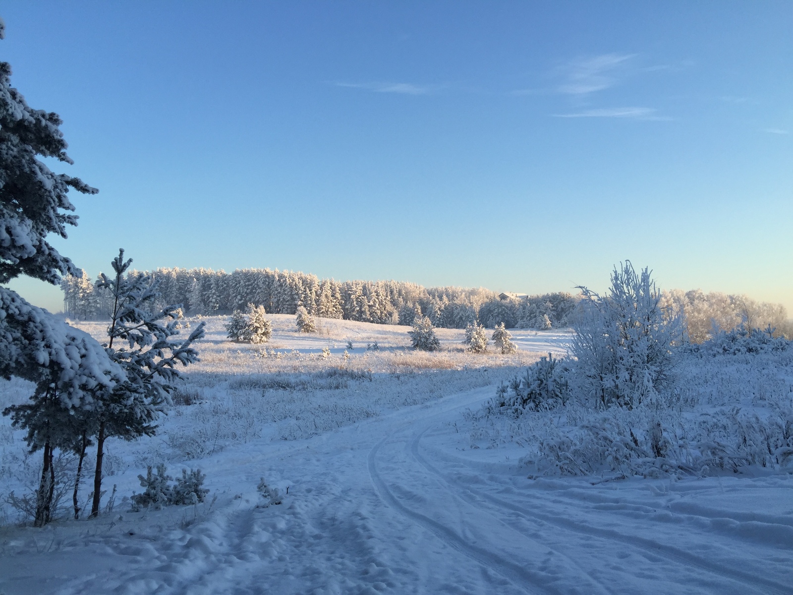 This amazing winter! - The photo, Winter, Longpost, Nature, The park