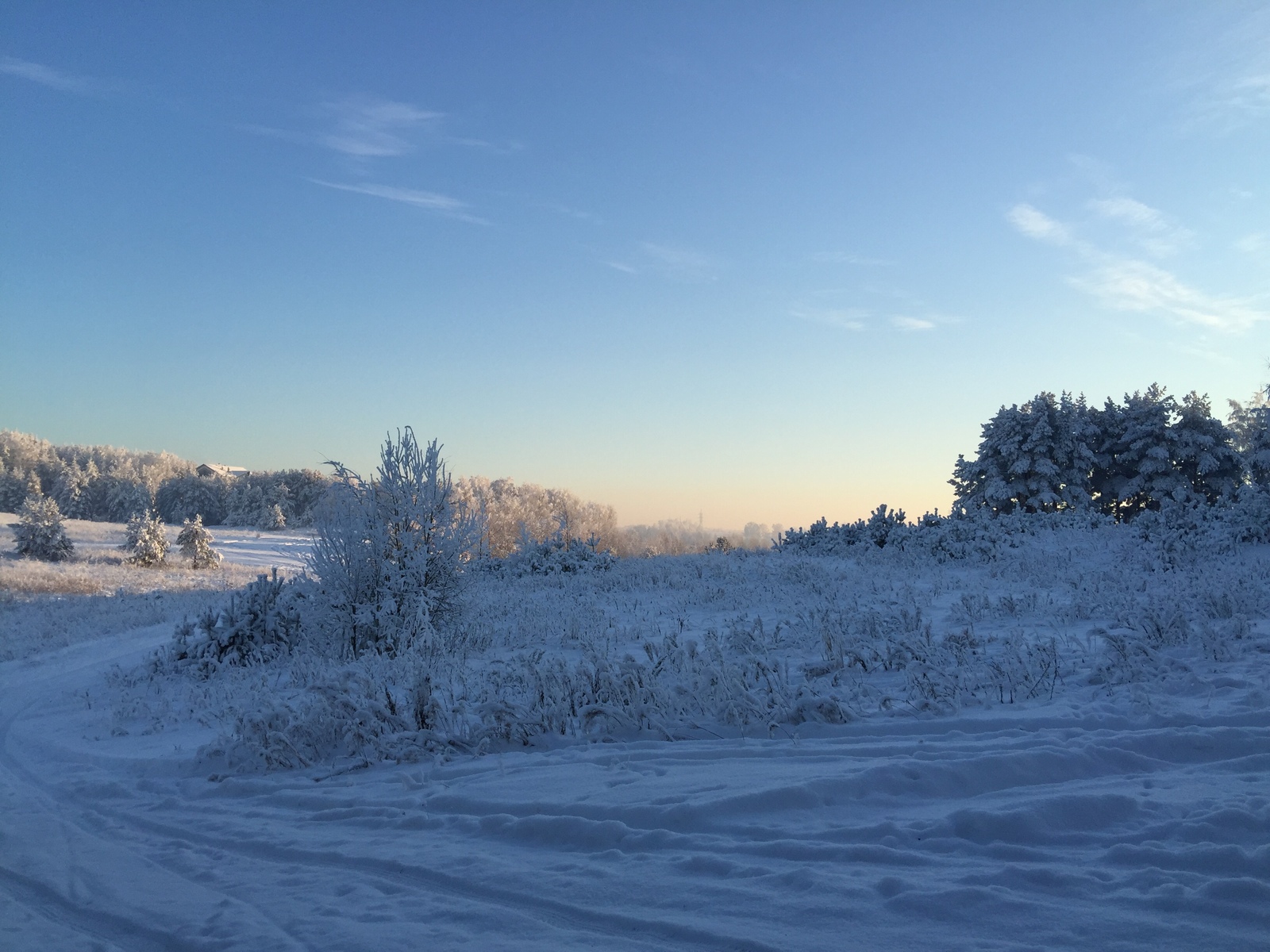 This amazing winter! - The photo, Winter, Longpost, Nature, The park