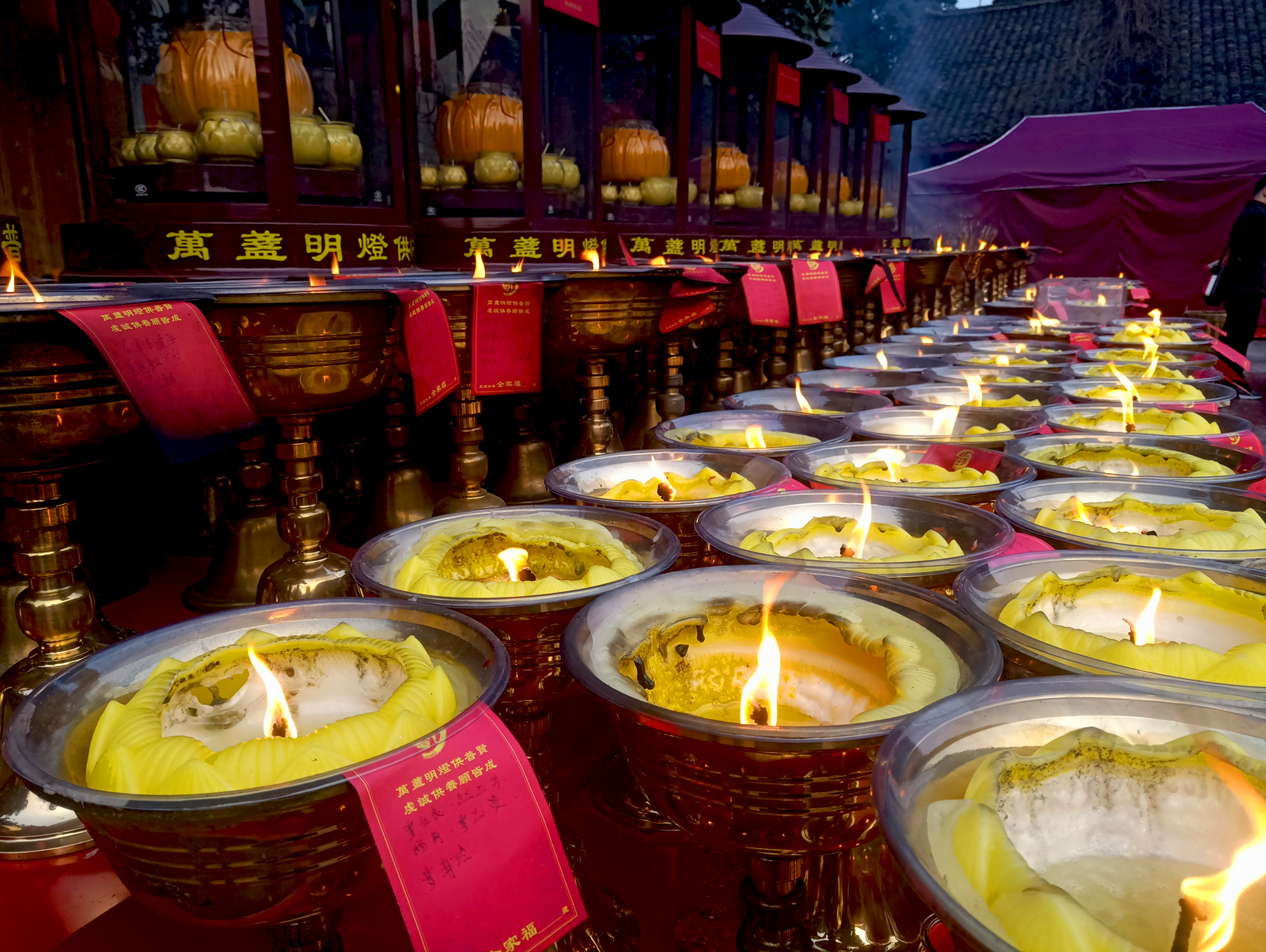 Travel in China. Sacred Mount Emeishan (Part One) - My, China, Travels, Nature, Reserve, Sichuan, UNESCO Heritage Site, Reportage, beauty, Longpost, Reserves and sanctuaries