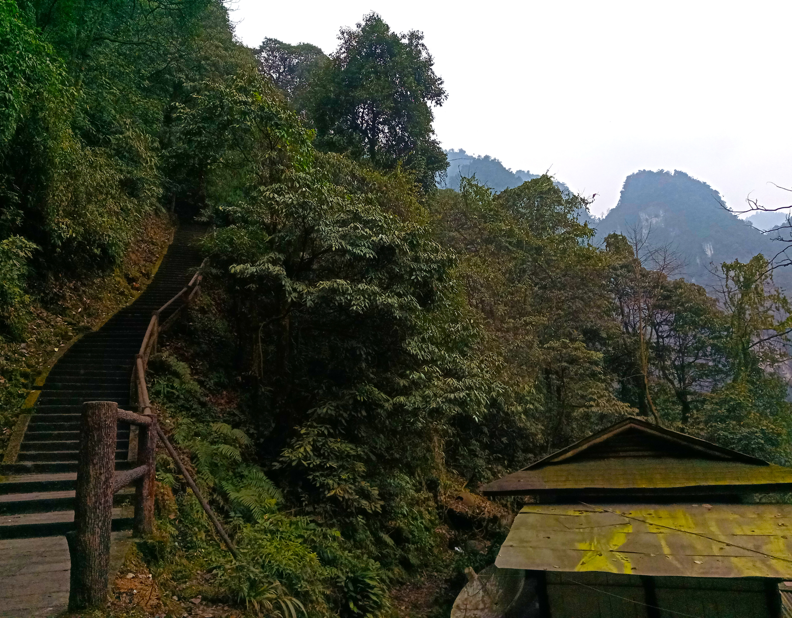 Travel in China. Sacred Mount Emeishan (Part One) - My, China, Travels, Nature, Reserve, Sichuan, UNESCO Heritage Site, Reportage, beauty, Longpost, Reserves and sanctuaries