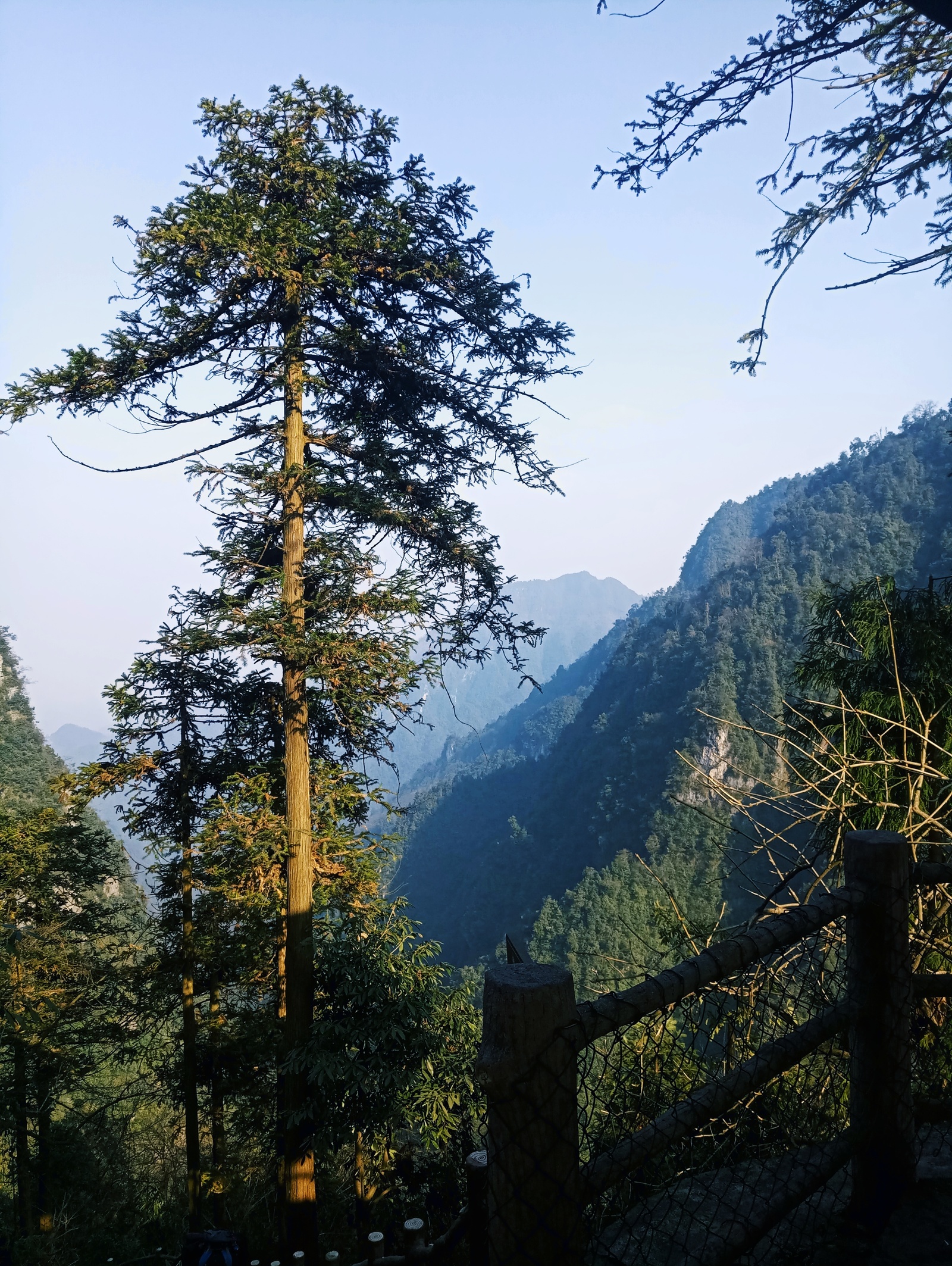 Travel in China. Sacred Mount Emeishan (Part One) - My, China, Travels, Nature, Reserve, Sichuan, UNESCO Heritage Site, Reportage, beauty, Longpost, Reserves and sanctuaries