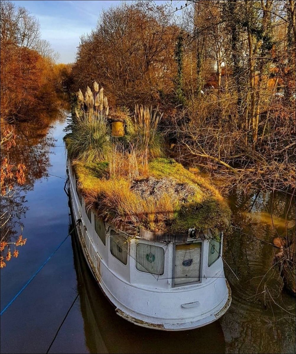 old boat - River, Boat, Abandoned