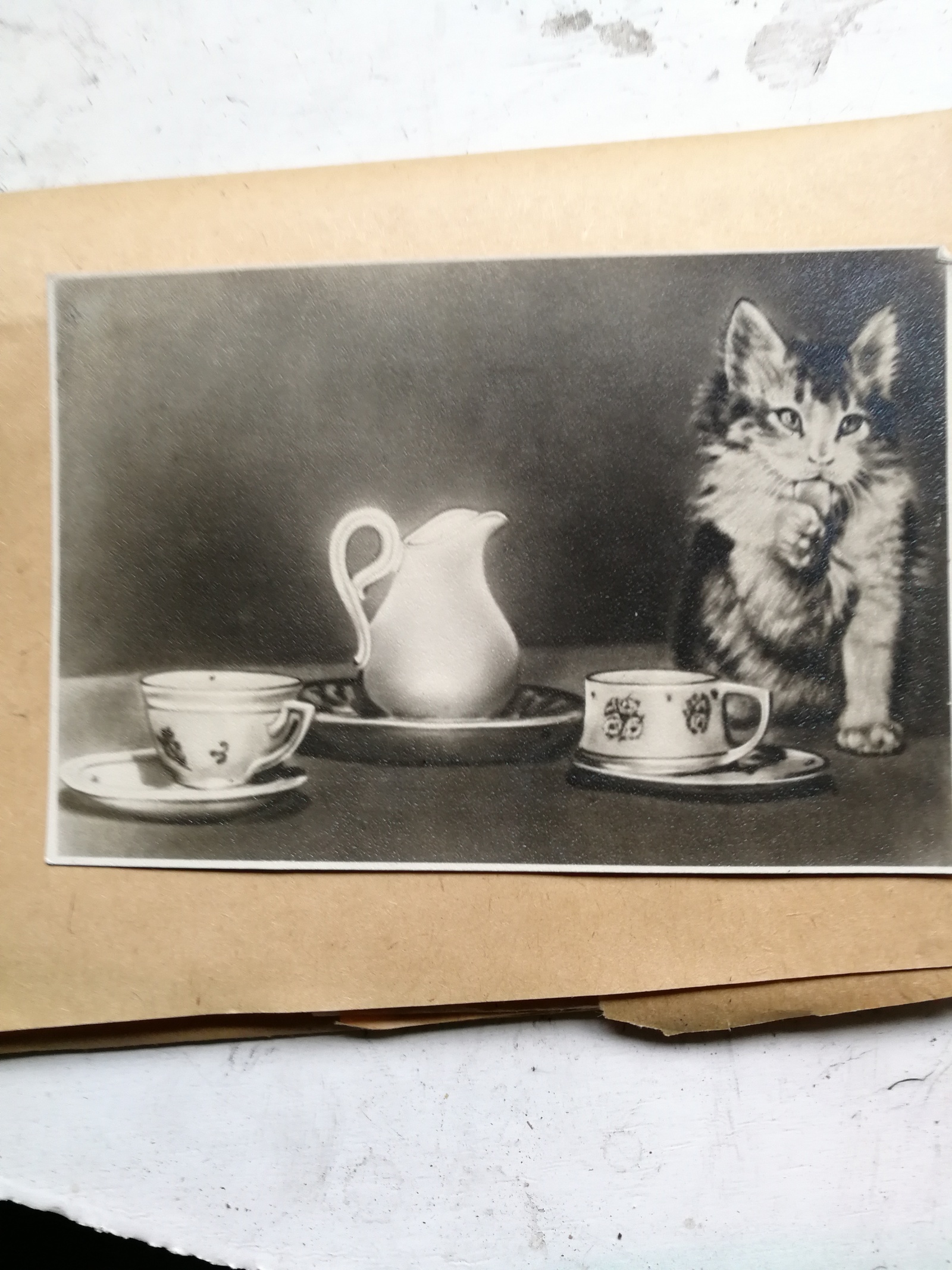 Postcards of the USSR - My, Postcard, the USSR, Longpost, Kittens