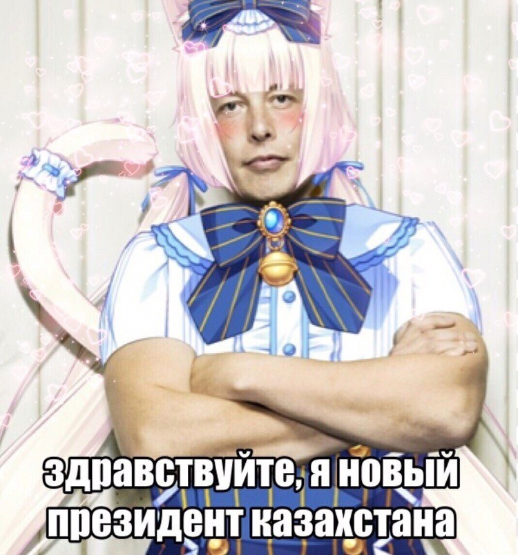 I would vote - Humor, Anime, Elon Musk, Nekopara, Photoshop master