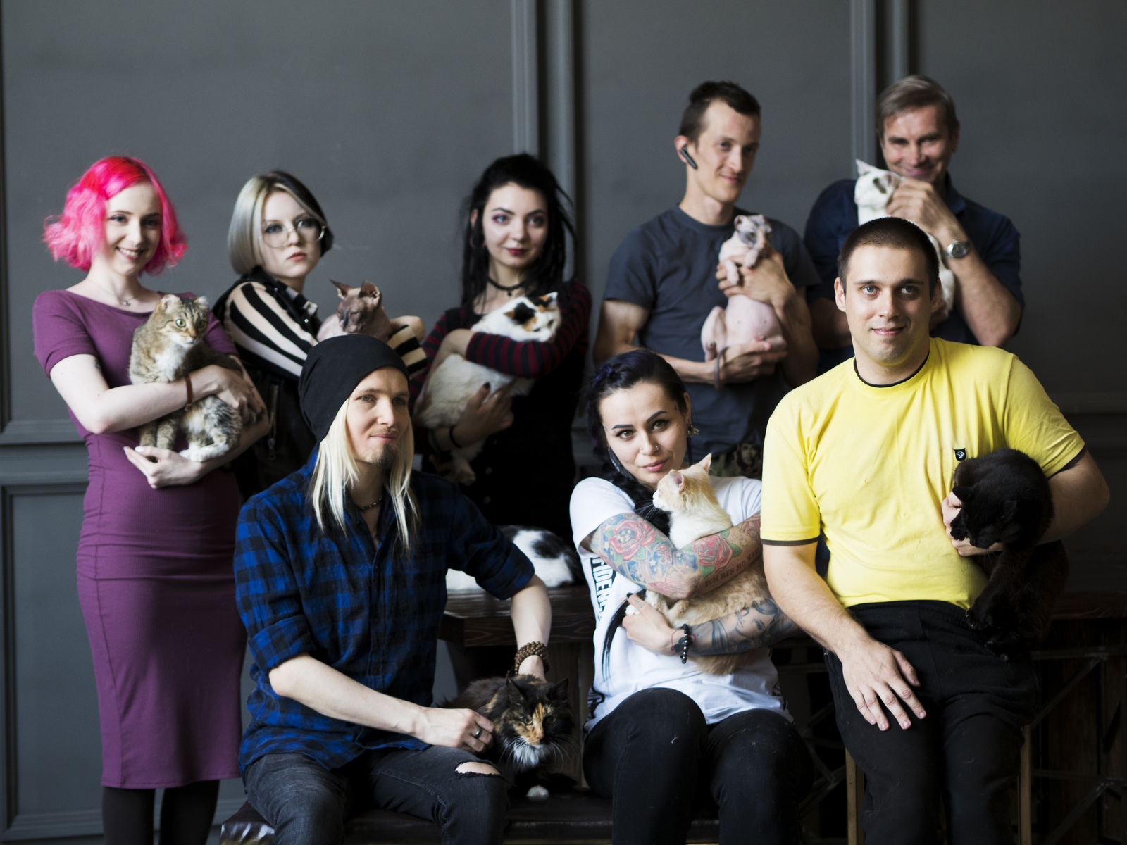 Project with cats of the shelter (Not) like everyone else - My, The photo, Chelyabinsk, Project, PHOTOSESSION, Shelter, Video, Longpost, cat