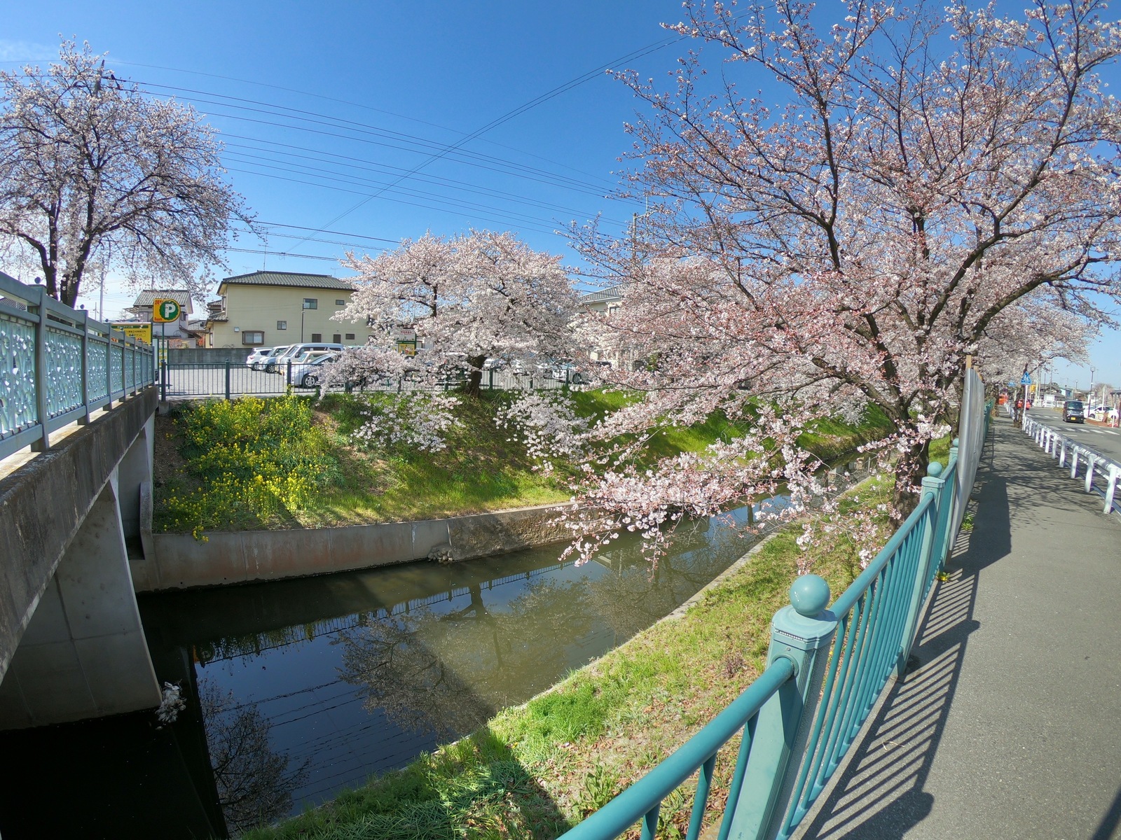 Is it really crowded in Japan? Are there really no summer cottages and the opportunity to start beds? - Japan, Village, Dacha, Suburb, Saitama, University, Longpost